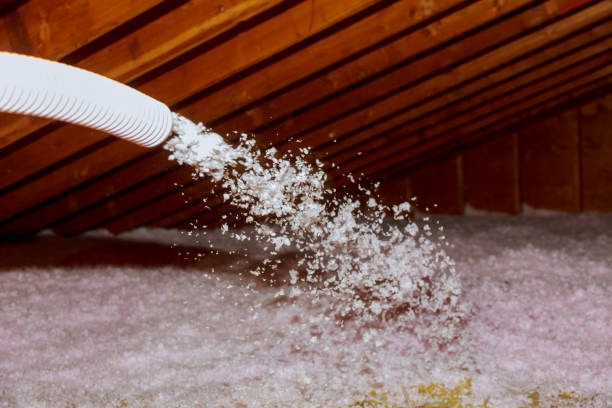 Best Geographic-Specific Insulation Services in Bismarck, MO