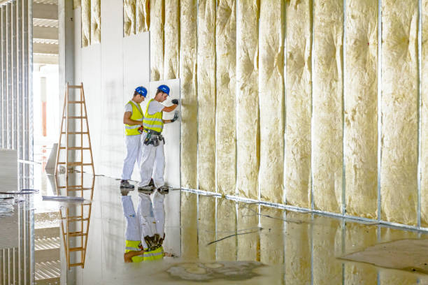 Best Fiberglass Insulation in Bismarck, MO
